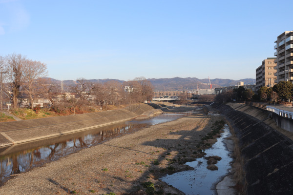 芥川から見たポンポン山