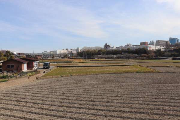 西国街道からみた千里中央の町並み