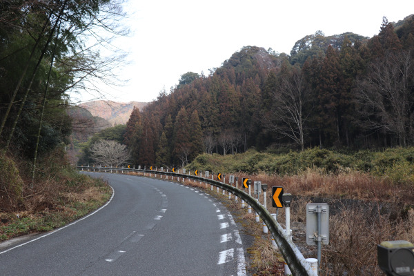 与喜山暖林帯