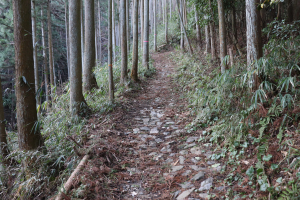 鳥見山公園への石畳の道