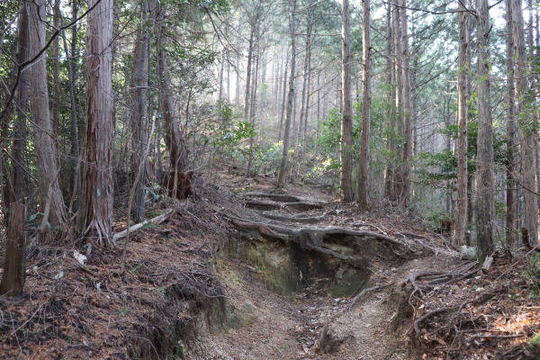 鳥見山公園への道