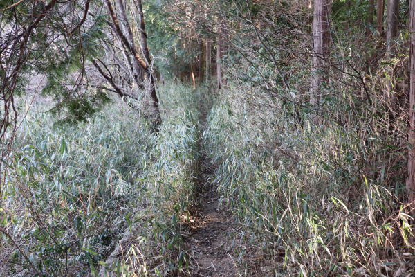 鳥見山公園