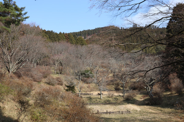 鳥見山公園