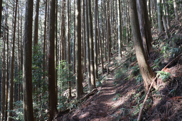 鳥見山公園からの下り道