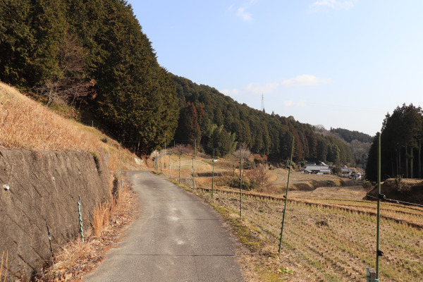 鳥見山公園からの道