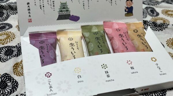 Uiro, a famous Nagoya souvenir