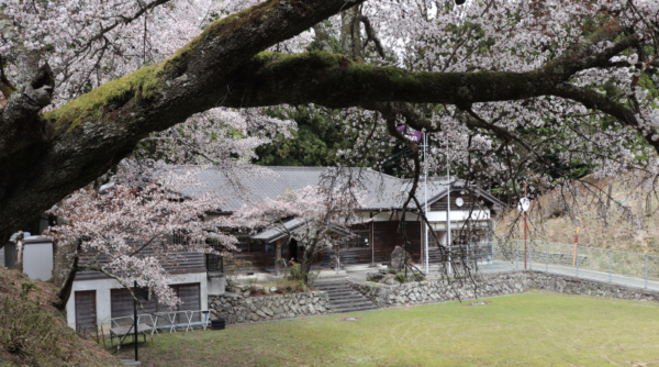 黒河道と久保小学校