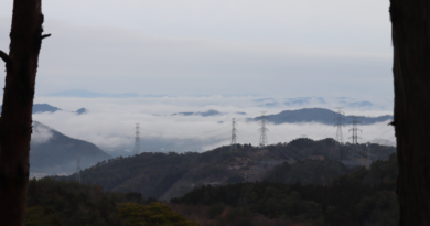 歌垣山の頂上から