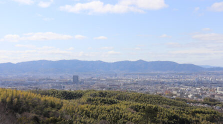 大岩山からの眺め