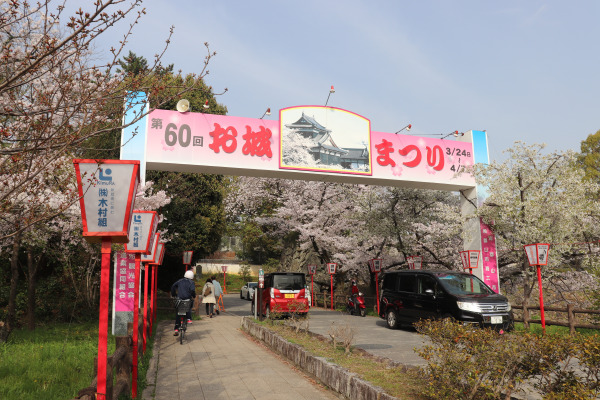 Site of Yamato Koriyama cherry blossom festival