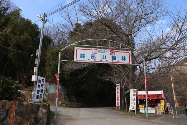 Entrance of Ayabeyama Pkum Grove