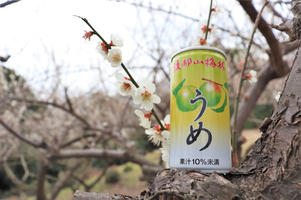 Can of plum juice from Ayabeyama Plum Grove