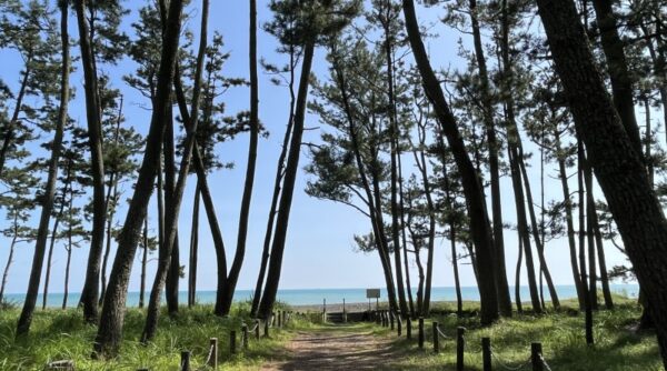 Enjugahama coast