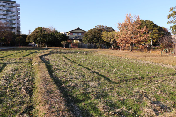 Itazuke rice field at the Itazuke Ruins in Fukuoka, Japan