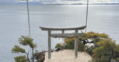 Torii of Hogonji Temple