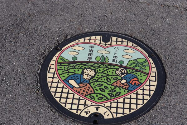 manhole cover depicting how Uji tea is harvested