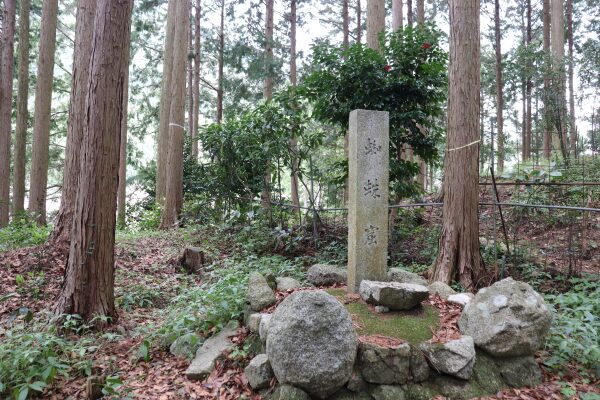 蜘蛛窟