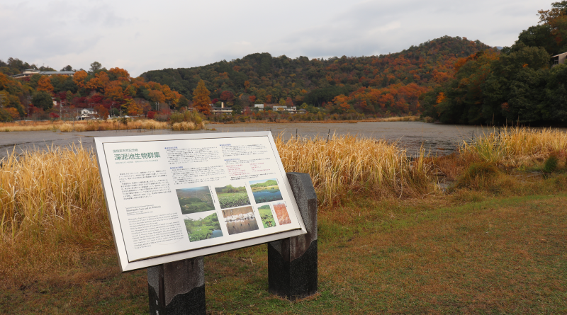 Midorogaike pond