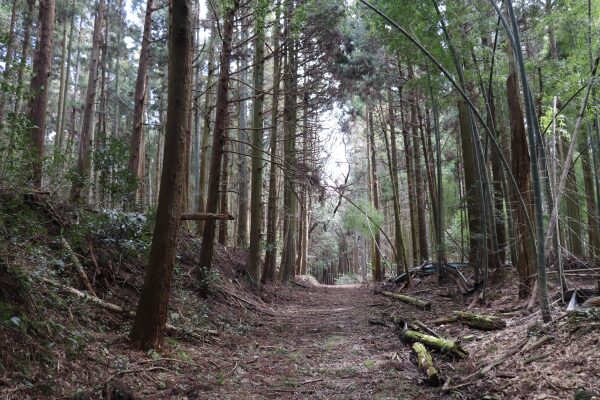 小川の関