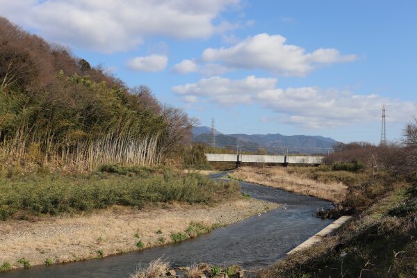 芹川