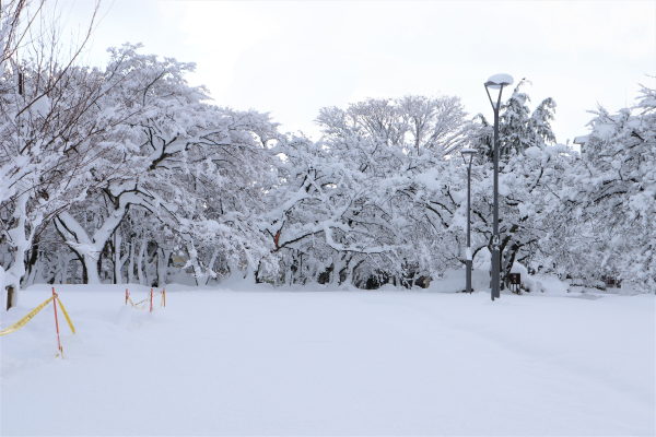 長浜の雪景色