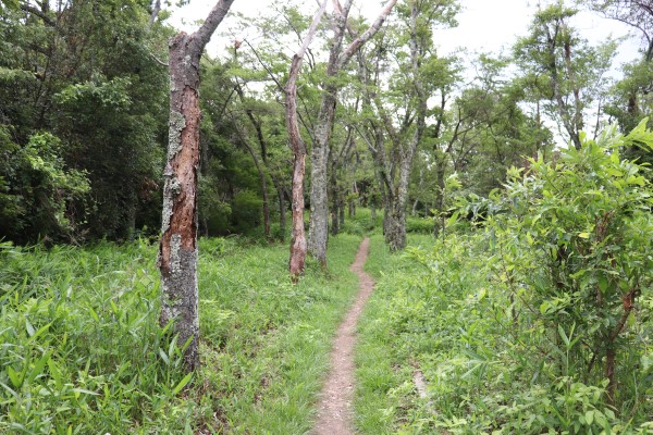 kurayashiki enclosure of Iimoriyama Castle 