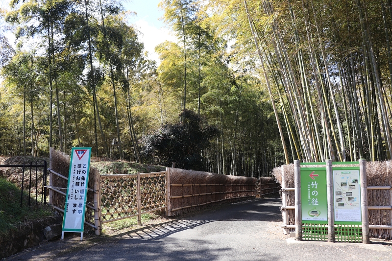 洛西竹林公園へと続く竹の径入り口