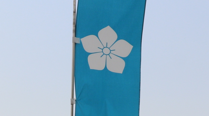 family crest of Akechi MItsuhide