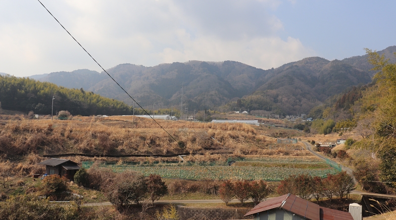 大原野の景色
