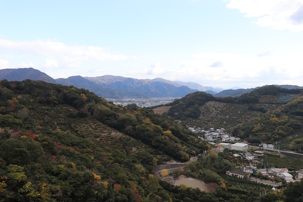 有田みかん海道からの景色