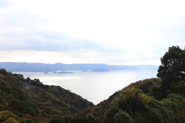 有田みかん海道からの眺め