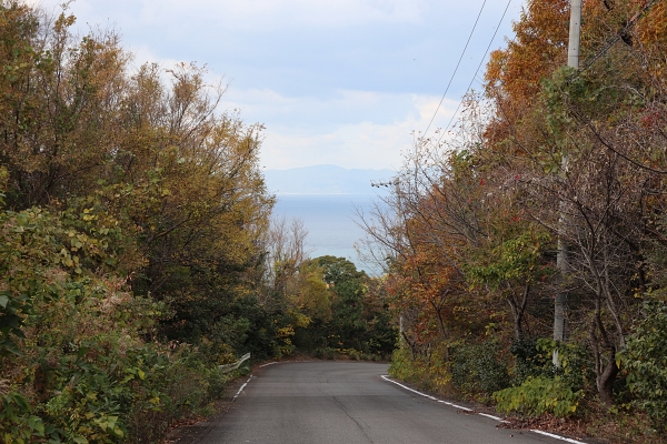 有田みかん海道