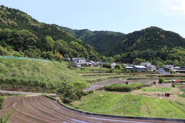 日根荘・大木地区