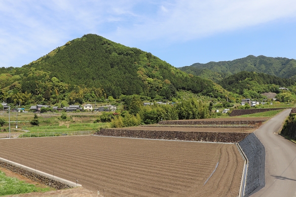 日根荘・大木地区