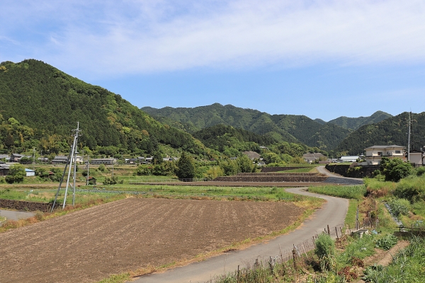 日根荘・大木地区
