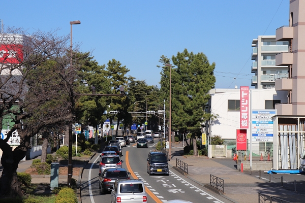 東海道の松林