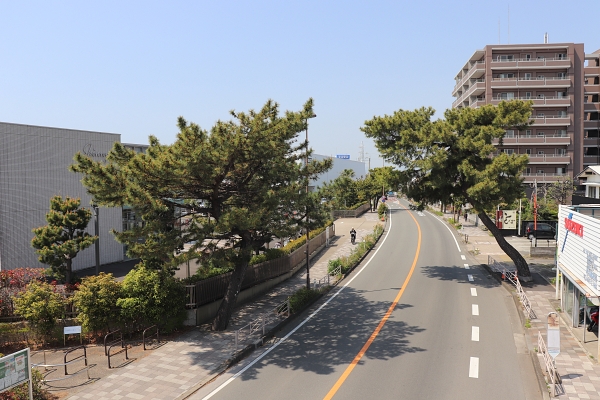 牡丹餅の立場付近