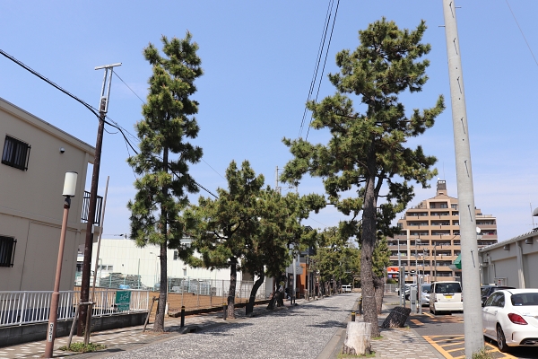 鶴嶺八幡宮への参道