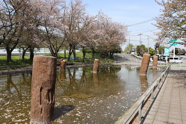 相模橋の橋脚