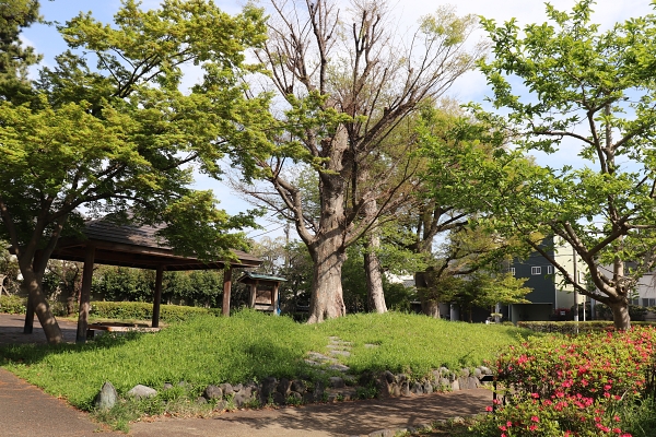 平塚の塚