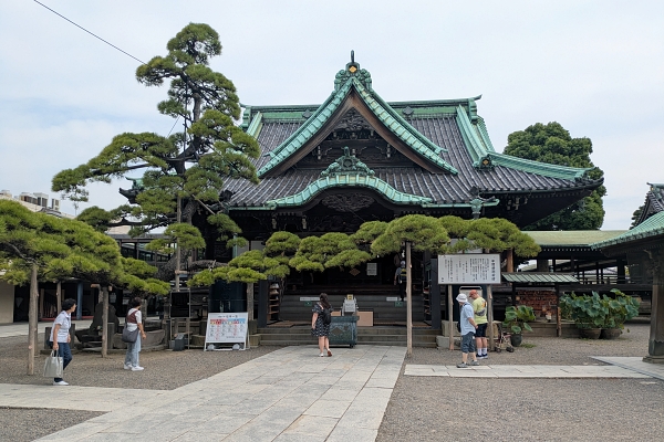 帝釈堂と瑞龍の松