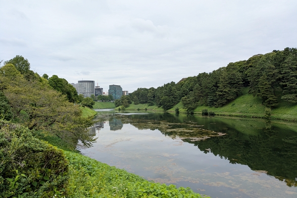 皇居の堀