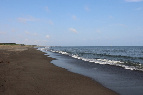 大磯の海