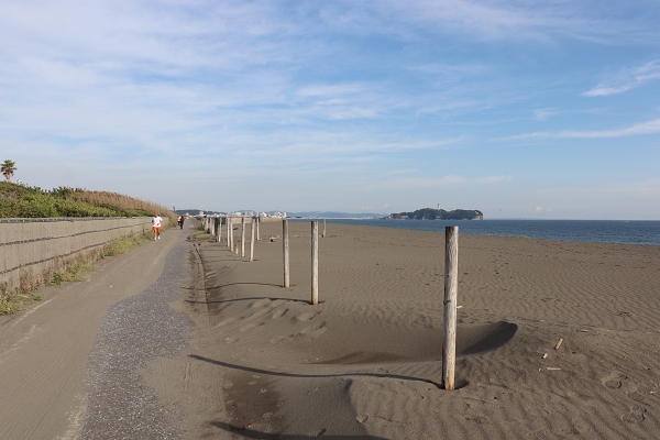 砂浜と遊歩道
