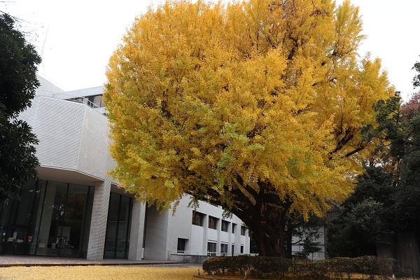 東京都立中央図書館