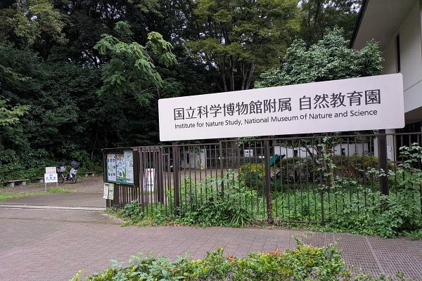 自然教育園