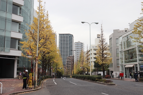 プラチナ通り