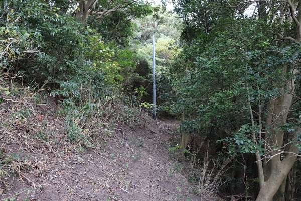 宮崎の鼻への道