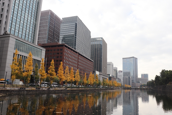 皇居の堀と高層ビル