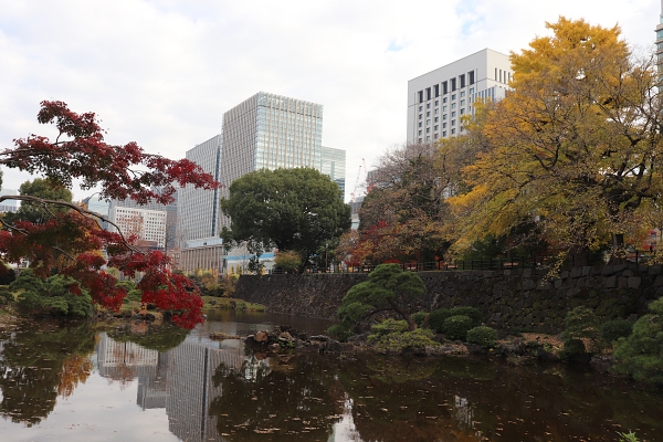 日比谷公園の紅葉